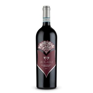 Cabernet Franc Doc Venezia - Ai Galli