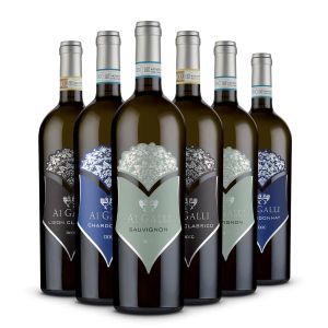 Confezione Degustazione Bianchi Linea Selezioni - Ai Galli