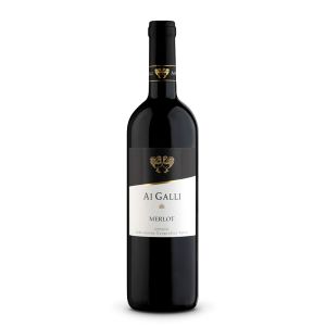 Merlot Veneto Igt - Ai Galli